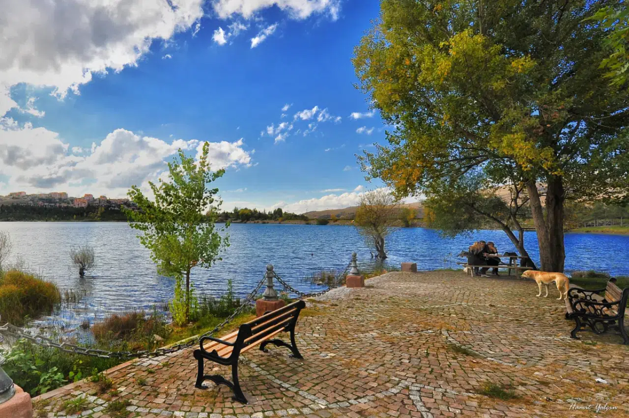 Ankara’da Doğayla İç İçe Bir Gün: Mavi Göl Piknik Alanı Rehberi