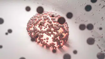 Konya Kök Hücre Tedavisi Saç Ekim Fiyatları