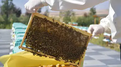 ABB’den Arıcılara Dev Destek! Eğitim, Üretim ve Ar-Ge Aynı Çatıda