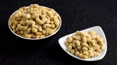 Egzamaya Doğal Destek: Kuru Dut Kürü