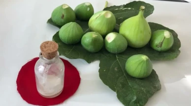 Eczane Gibi Doğal Çözüm mü, Tehlike mi? İncir Sütüne Dair Bilinmeyenler