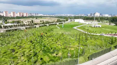 Ankara’ya Dev Park: Atatürk Çocukları Doğal Yaşam Parkı Açıldı