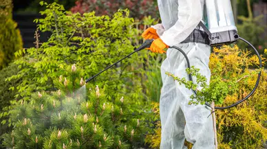 Keçiören Belediyesi 1–7 Eylül İlaçlama Programını Duyurdu