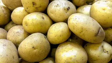 Ankara Kalecik Semt Pazarı Günleri