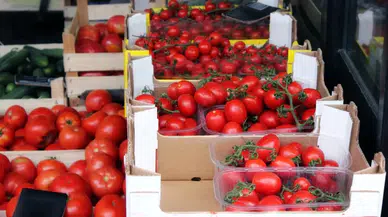 Ankara Etimesgut Semt Pazarı Günleri