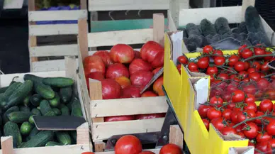 Ankara Ayaş Güdül Mahallesi Haberleri 2026