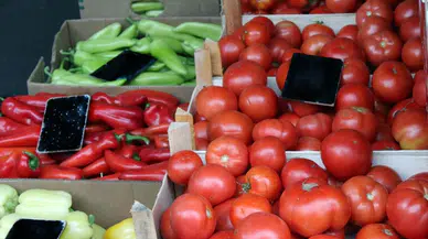 Ankara Akyurt Semt Pazar Günleri