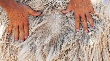 Ankara'nın Neyi Meşhur? Başkentin Ünlü Lezzetleri ve Yerleri