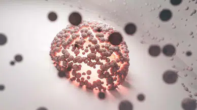 Konya Kök Hücre Tedavisi Saç Ekim Fiyatları