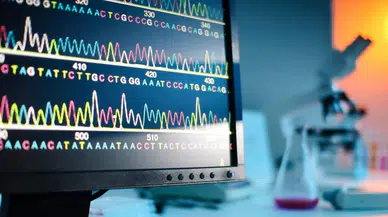 Ankara Sekans Hizmetlerinde Yeni Dönem: Tıbbi Görüntüleme ve Raporlama