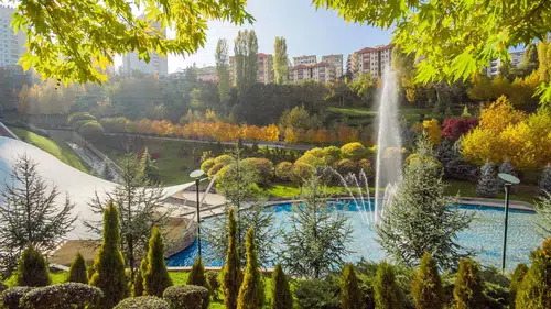 Ankara Çamlıdere Doğancı Mahallesi Haberleri 2026